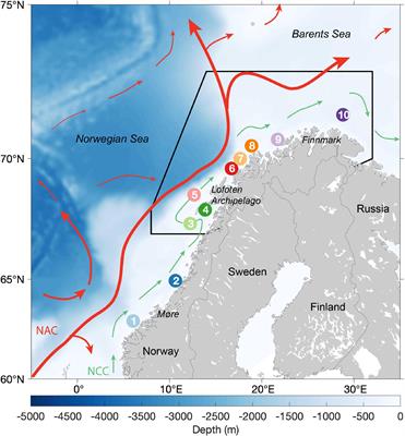 Two Decades of Match-Mismatch in Northeast Arctic Cod – Feeding Conditions and Survival